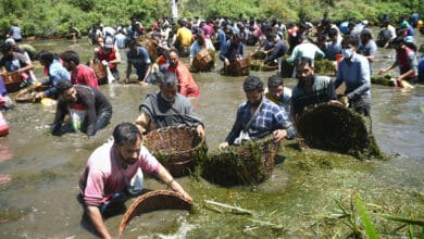 Fishing festival in Qazigund