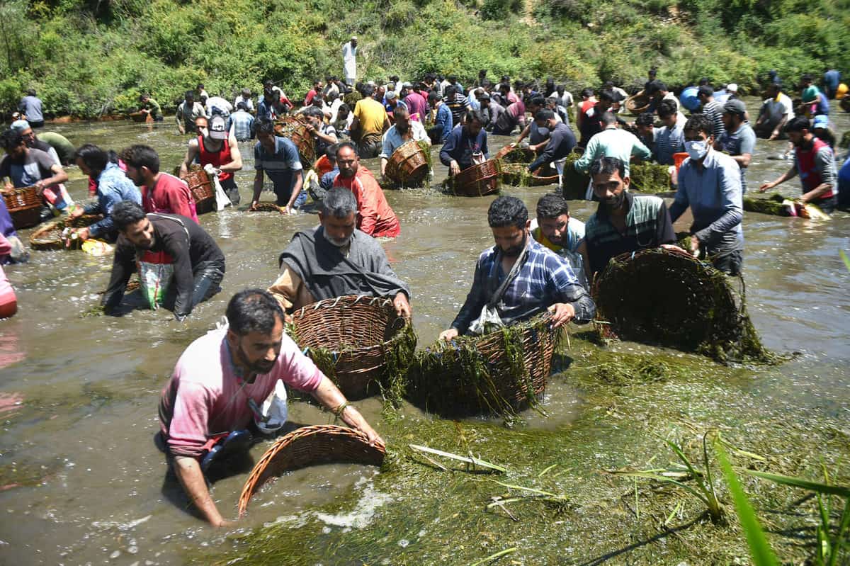 Fishing festival in Qazigund