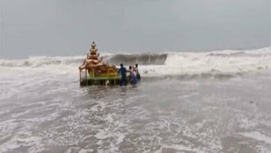 Chariot-like structure washes ashore in Andhra