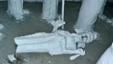 Karnataka: Tension in Hassan district after idols vandalised