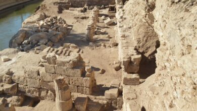 Haridi mountain area in Sohag, where the tower and the cemetery were discovered.