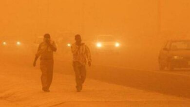 Over 5,000 hospitalised as dust storm sweeps Iraq