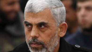 Will capture Hamas leader Sinwar dead or alive, says IDF