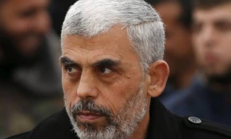 Will capture Hamas leader Sinwar dead or alive, says IDF