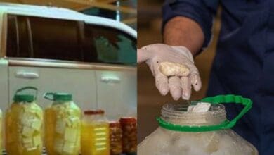 Video: Saudi Arabia thwarts attempts to smuggle over 29,000 captagon in cheese jars