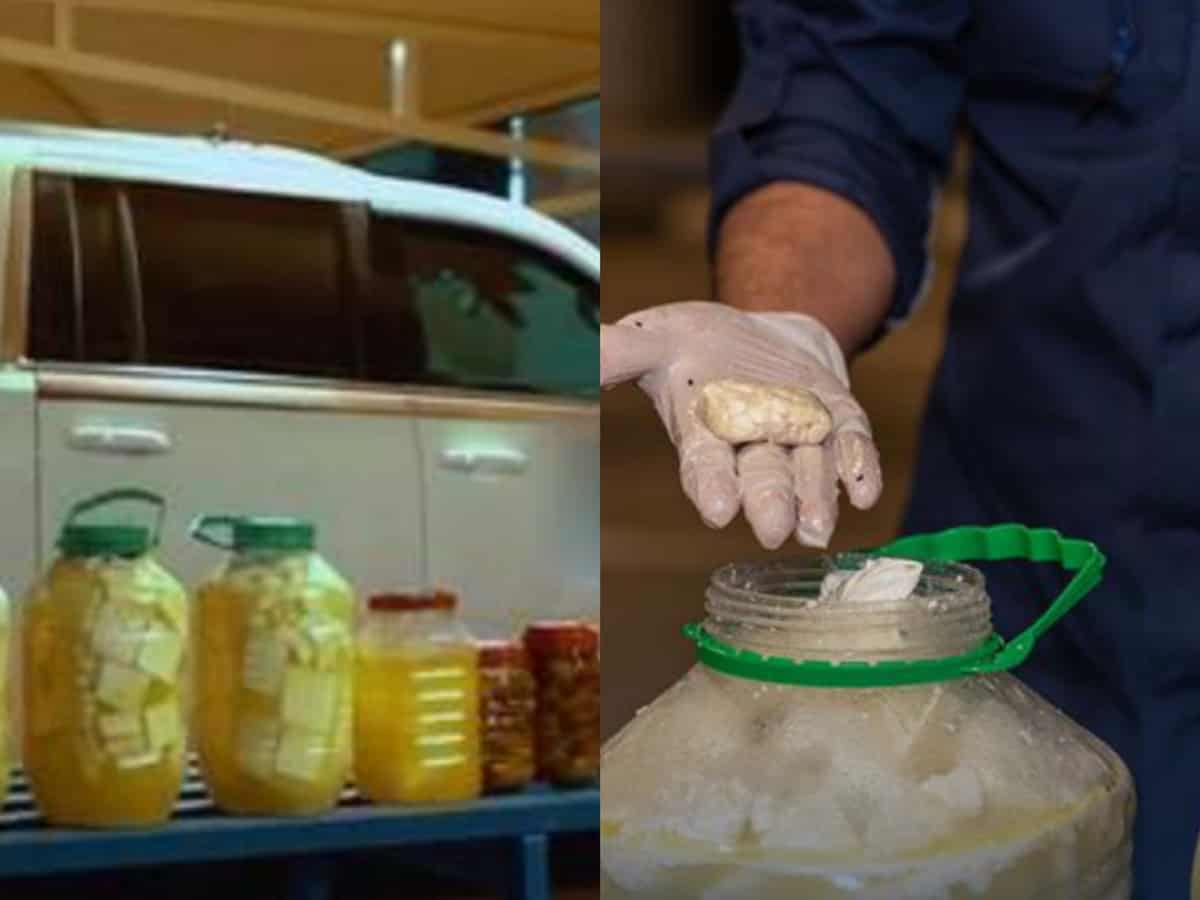 Video: Saudi Arabia thwarts attempts to smuggle over 29,000 captagon in cheese jars