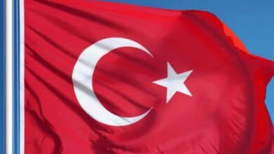 Turkey summons Swedish envoy over protests against Erdogan