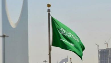 Saudi Arabia to consider television channels for expatriates