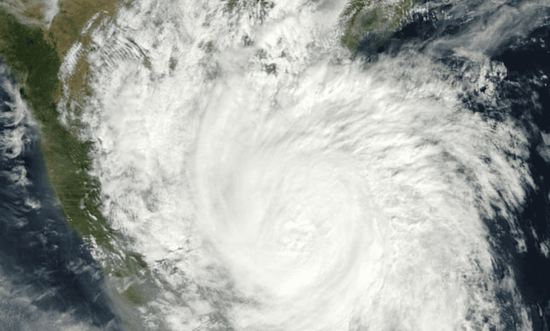 Cyclone 'Mandous' effect: 5 dead, thousands shifted to shelter homes
