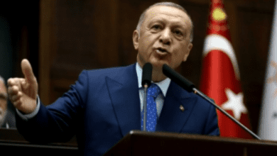 Erdogan warns Greece over 'harassment' of Turkish jets