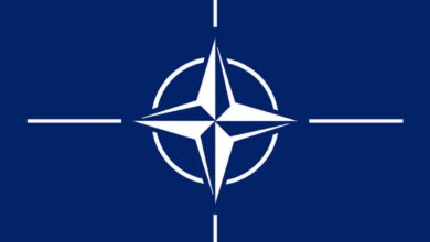 Finland's ruling party backs NATO application