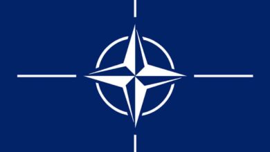 Finland's ruling party backs NATO application