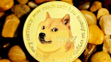 After Tesla, SpaceX to accept Dogecoin for merchandise soon
