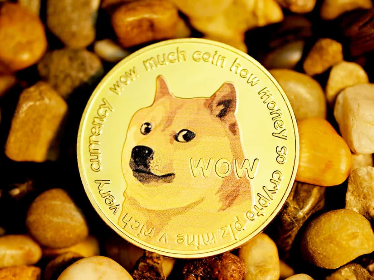 After Tesla, SpaceX to accept Dogecoin for merchandise soon