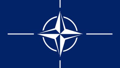 Turkey blocked start of NATO talks on Sweden, Finland accession - Reports