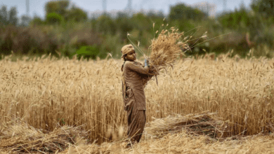 Record high temperatures in Feb may lead to more rate hikes from RBI, says India Ratings