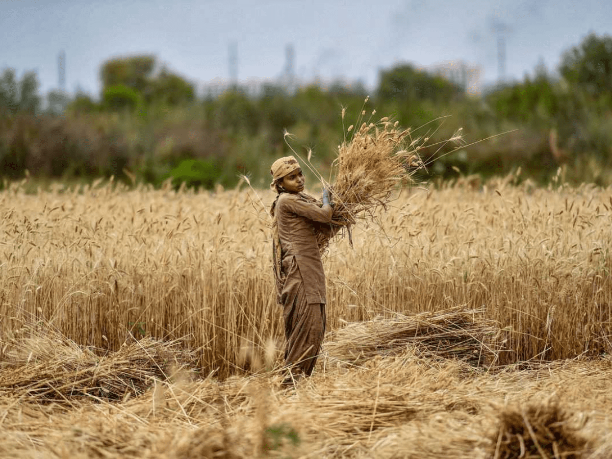 Record high temperatures in Feb may lead to more rate hikes from RBI, says India Ratings