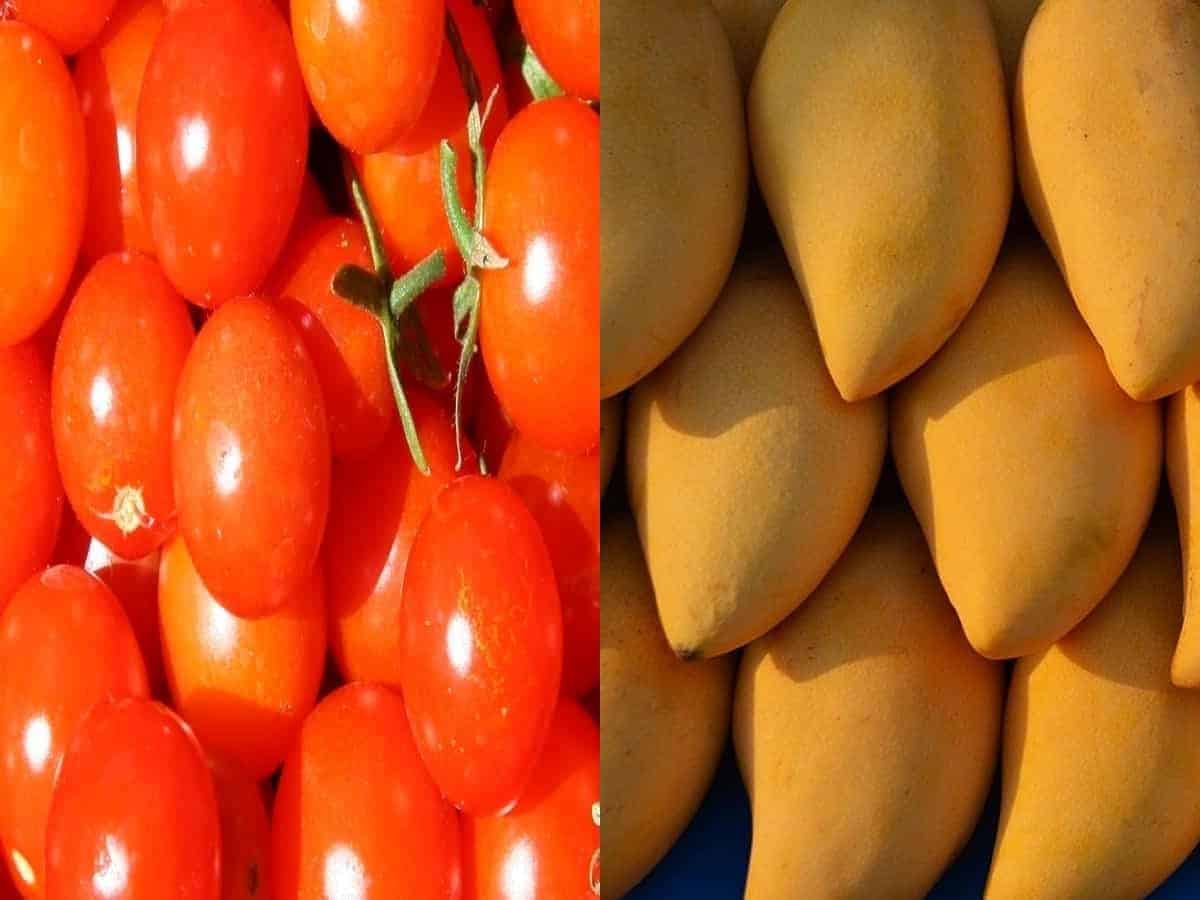 tomato prices in hyderabad