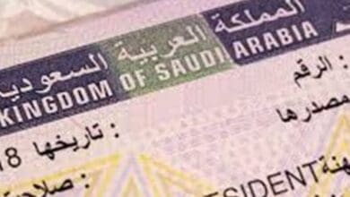 Saudi Arabia to mandate professional verification for all Indian work visa applicants