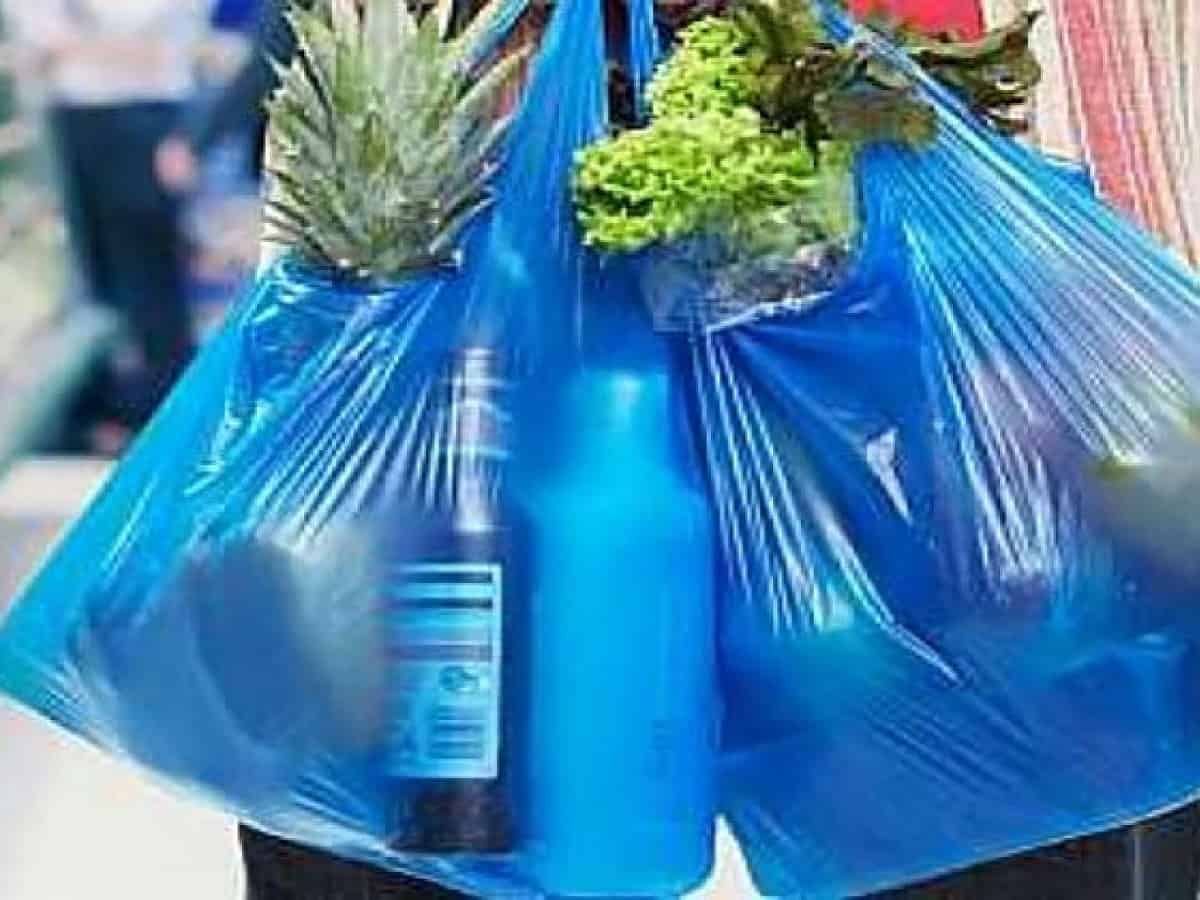 Single-use plastic ban comes into effect in UAE's capital