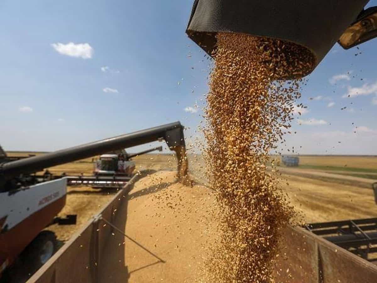 Skyrocketing prices making flour inaccessible in Pakistan