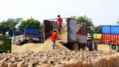 Egypt to purchase 180,000 tonnes of wheat from India