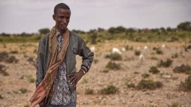 UN provides $20 million for drought emergency in Somalia