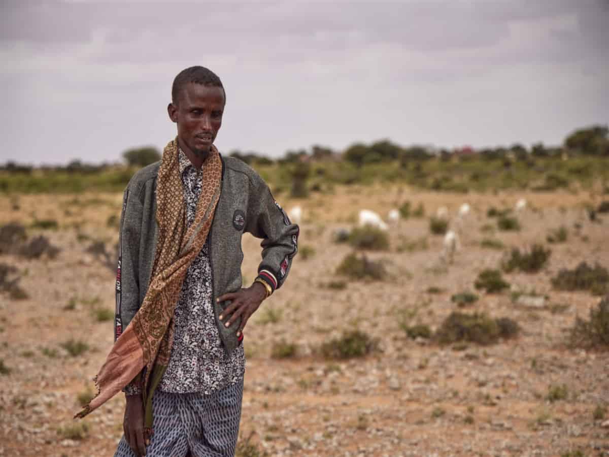 UN provides $20 million for drought emergency in Somalia