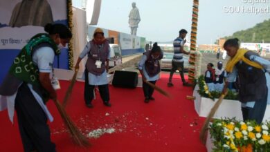 BJP MP demands restoring services of tribal youths at Statue of Unity