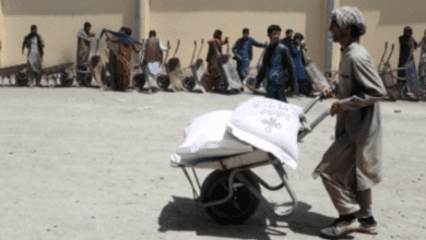 FAO, World Bank step up response to worsening food security in Afghanistan