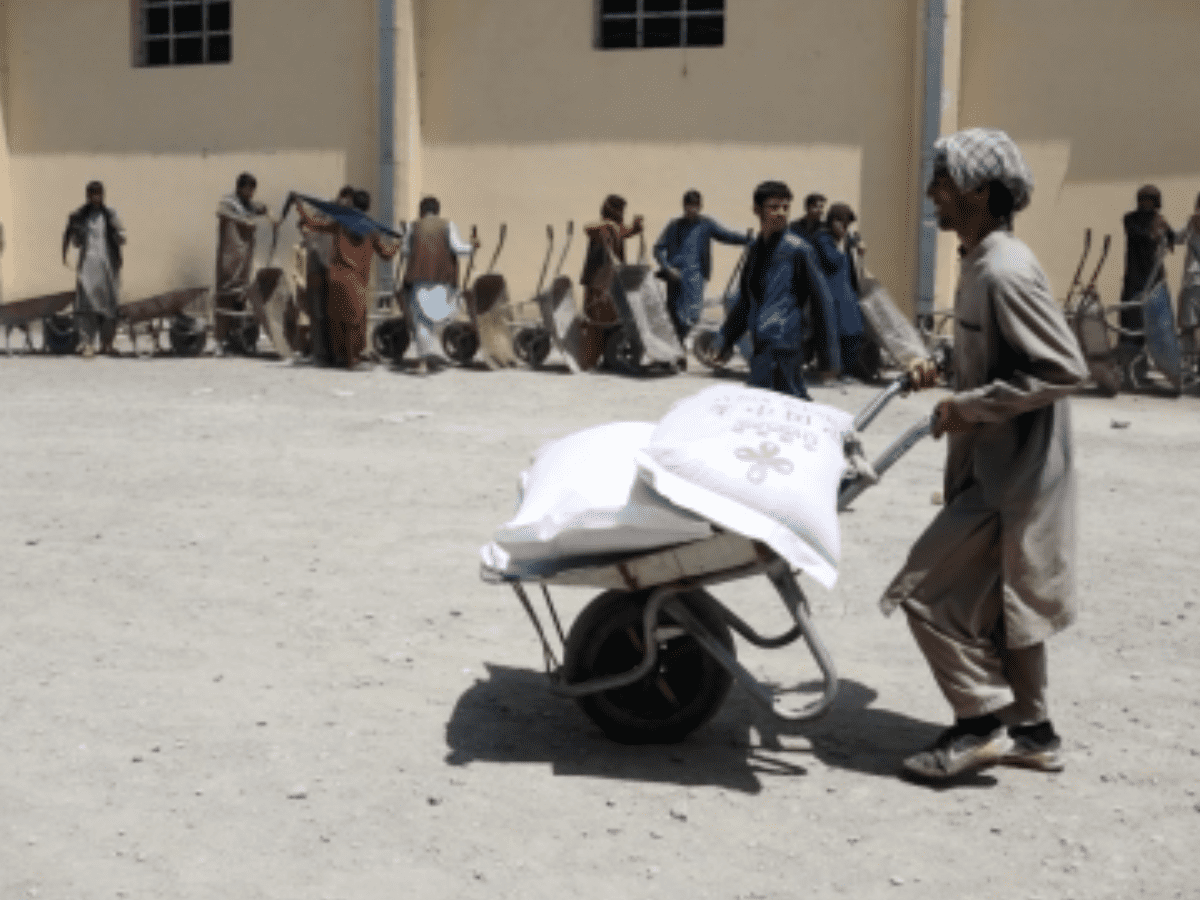 FAO, World Bank step up response to worsening food security in Afghanistan