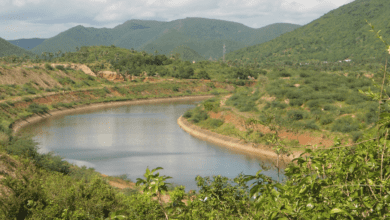 Telangana: Andhra Pradesh is building canals in Polavaram illegally, says Rajat Kumar