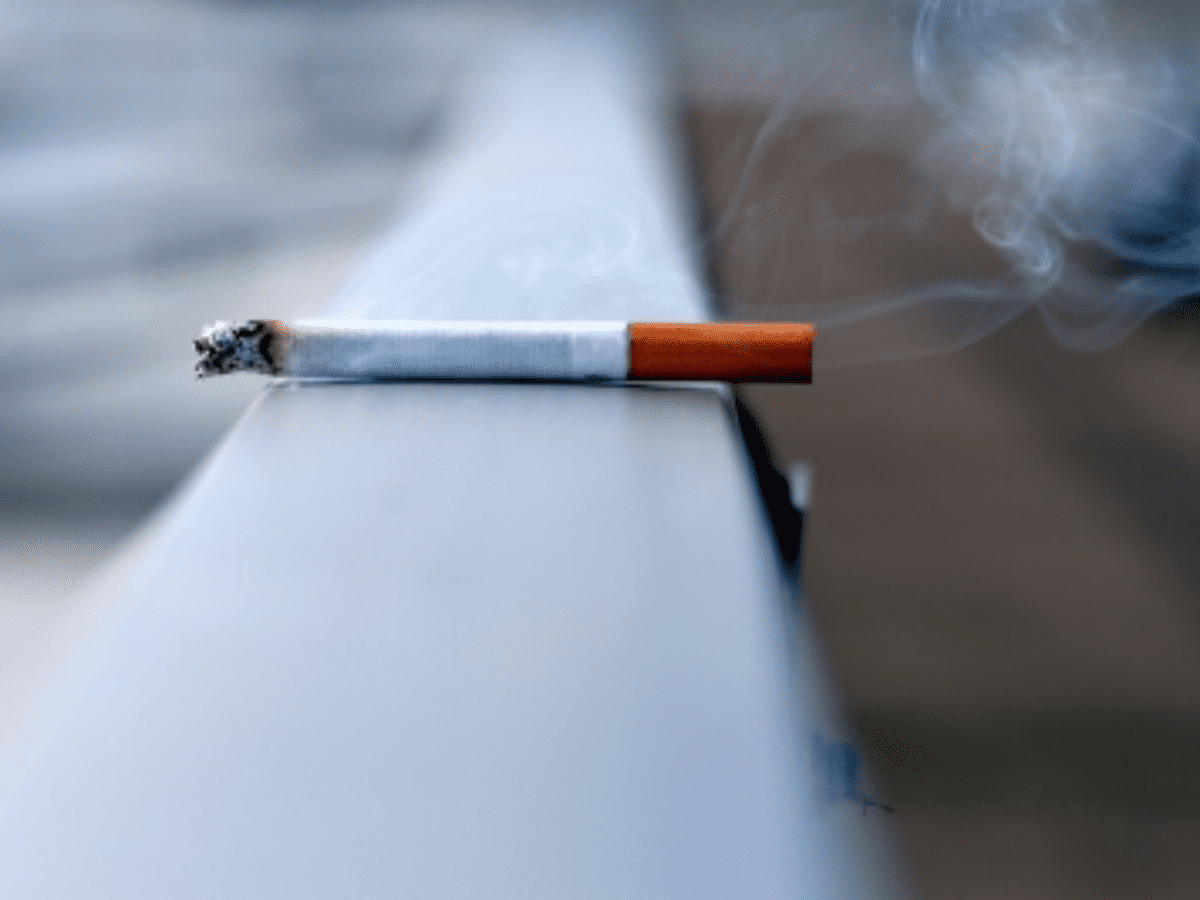 Tobacco industry worsening global pollution, deforestation: Expert