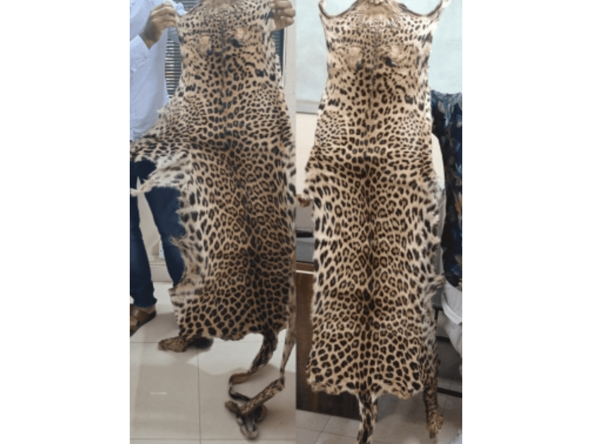 K'taka police arrest rowdy sheeter trading leopard skin