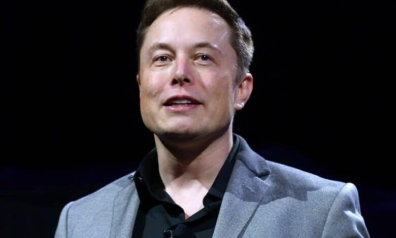 I work all day, then go home & play work simulator: Musk