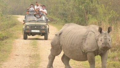 Vehicle speed limit restricted at Kaziranga National Park