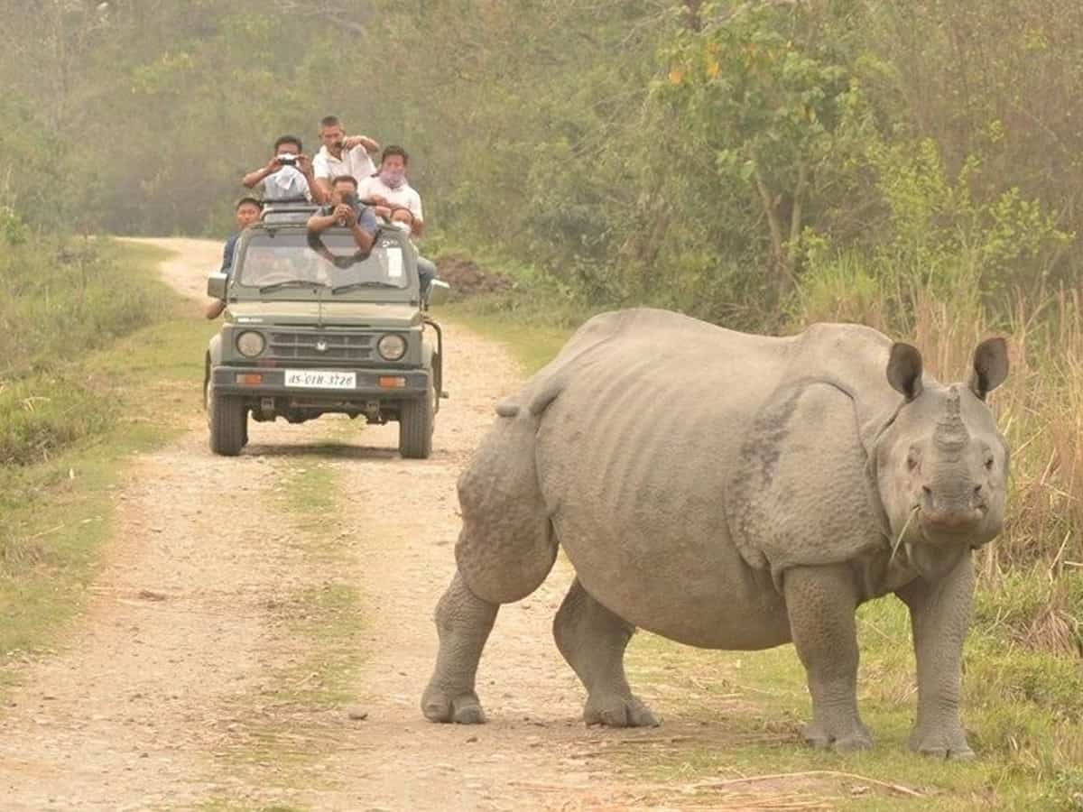 Vehicle speed limit restricted at Kaziranga National Park