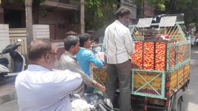 tomato prices in hyderabad