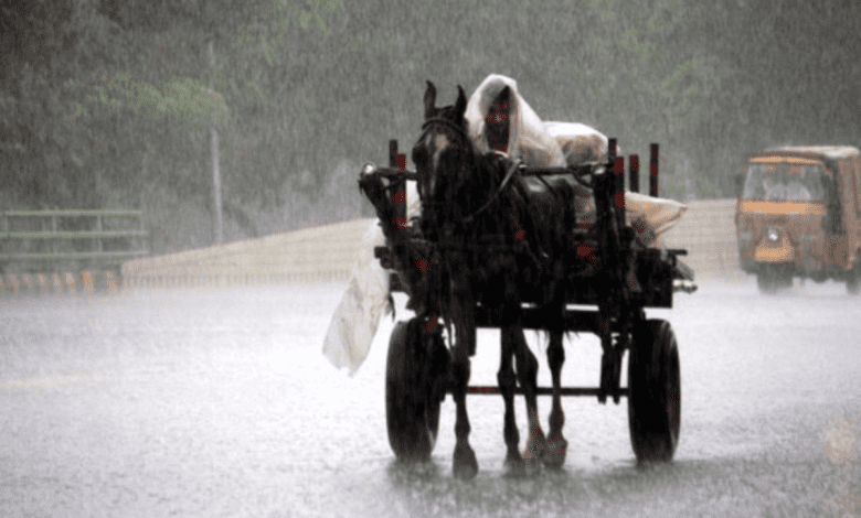 Heavy rainfall