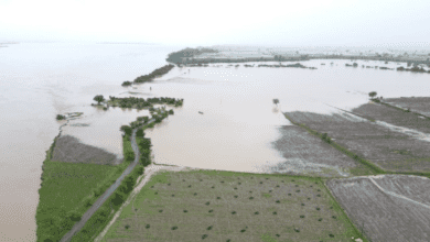 Bhadrachalam cut-off as bridge on flooded Godavari closed