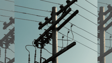 Telangana Power dept alerts people to stay away from electricity lines