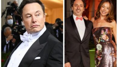 Elon Musk affair