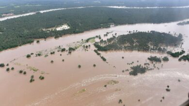 Godavari flood swells in AP, several villages marooned