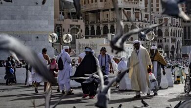 Saudi Arabia detects over 4,000 Haj health violations