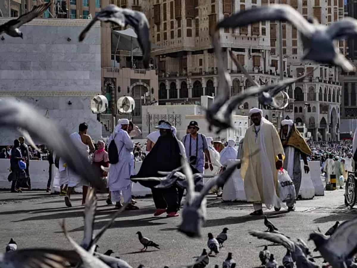 Saudi Arabia detects over 4,000 Haj health violations