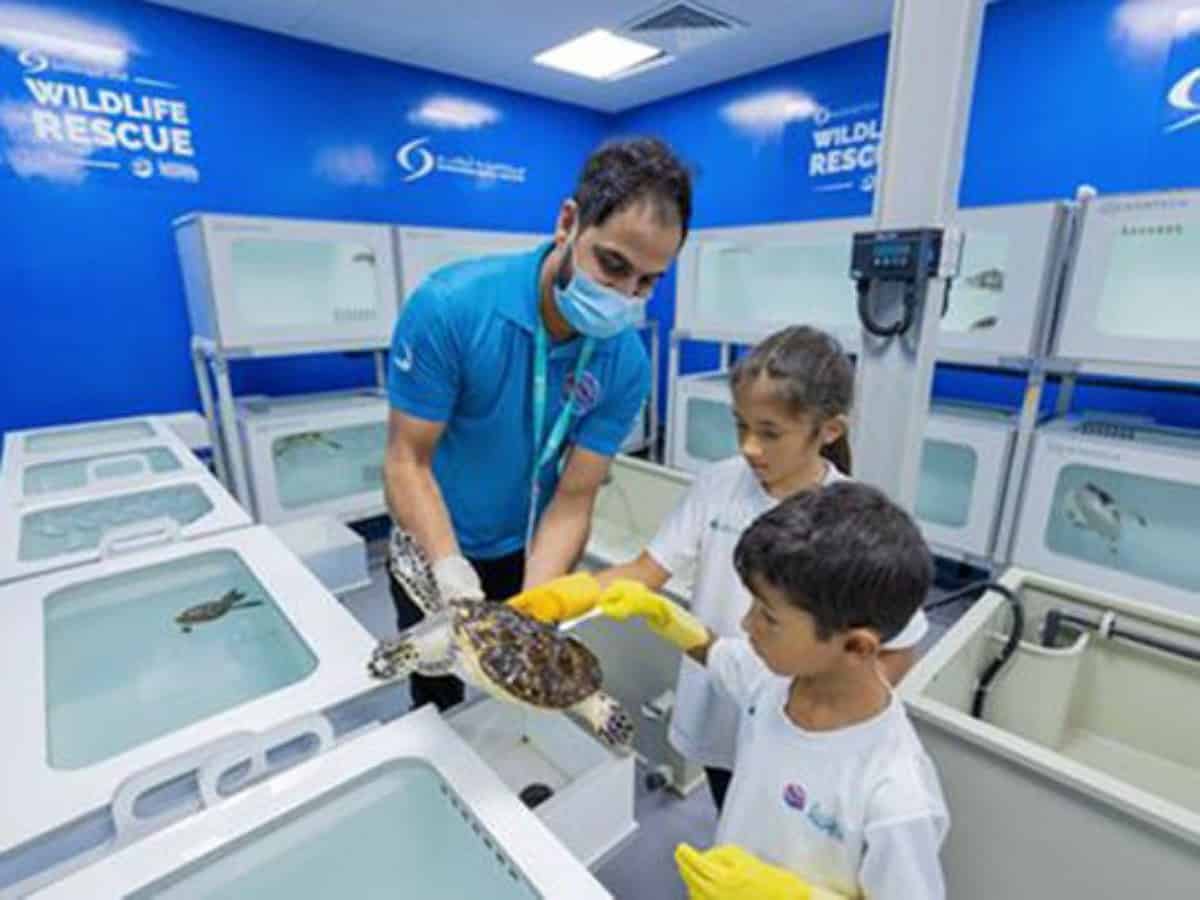 Abu Dhabi: Middle East's largest aquarium welcomes first-ever summer camp