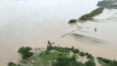 Telangana: Central team concludes visit to flood-hit districts