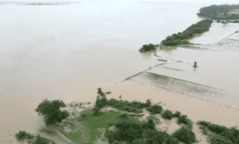 Telangana: Central team concludes visit to flood-hit districts