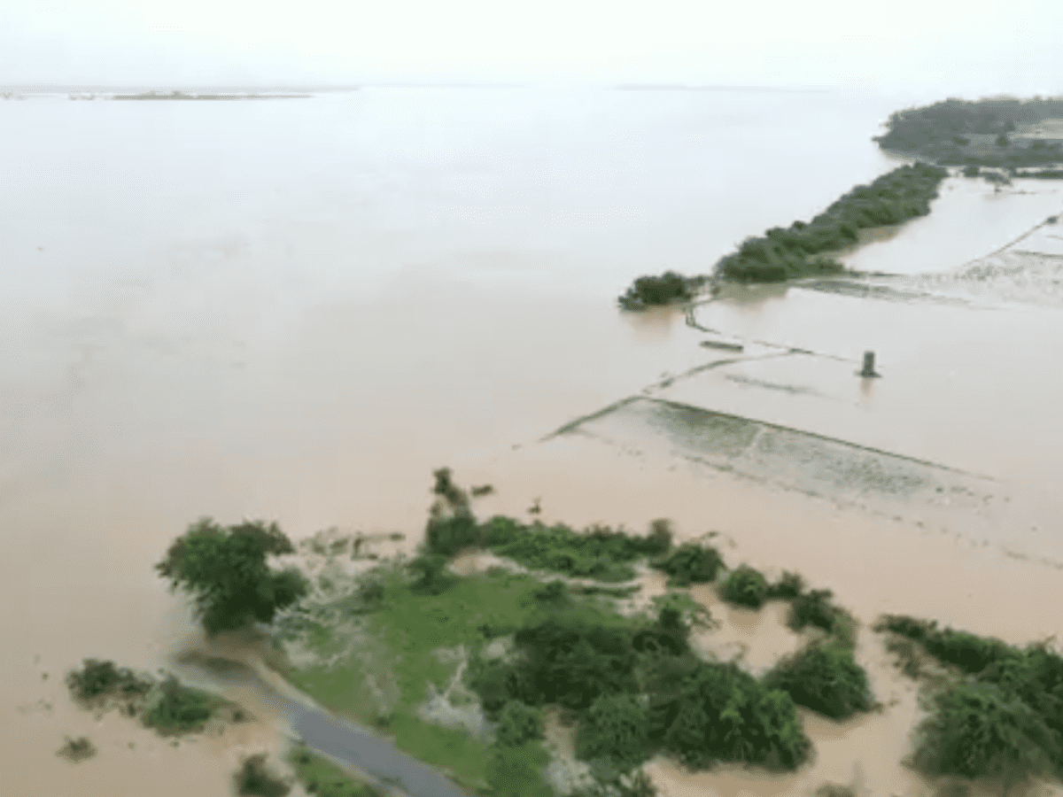 Telangana: Central team concludes visit to flood-hit districts