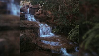 Beautiful hidden waterfall near Hyderabad to visit in Monsoon
